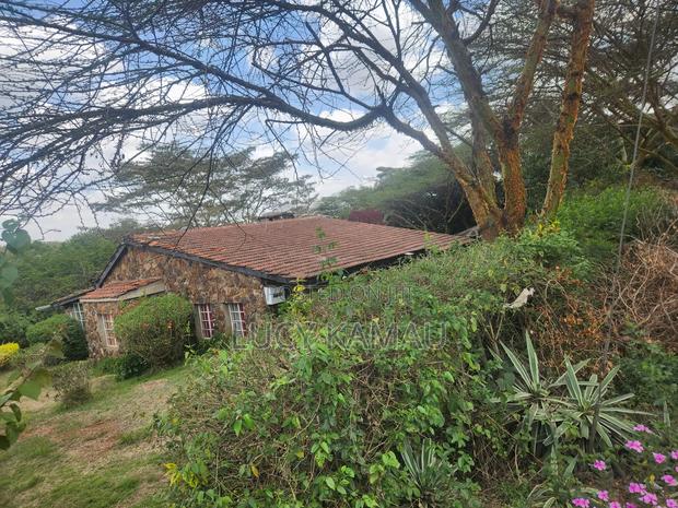 3⁄4 Acre Gem Fronting River and Nairobi National Park - thumbnail 11