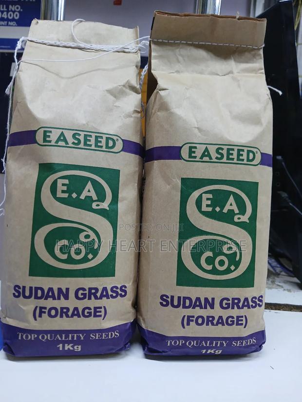 Sudan Grass Forage 1kg - main view