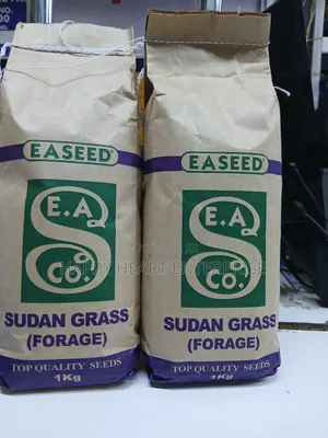 Sudan Grass Forage 1kg