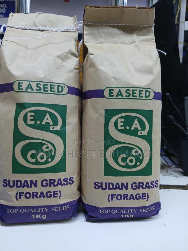 Sudan Grass Forage 1kg - thumbnail 3