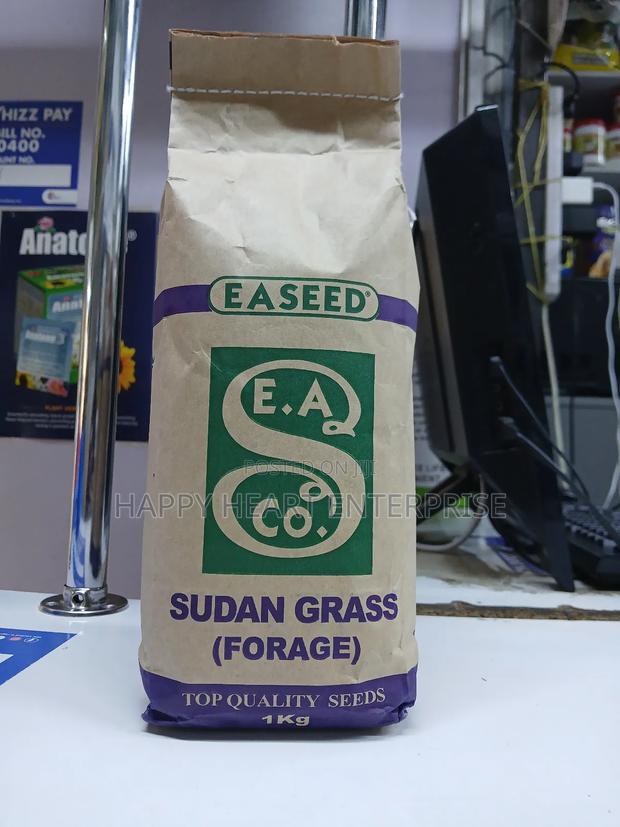 Sudan Grass Forage 1kg - thumbnail 5
