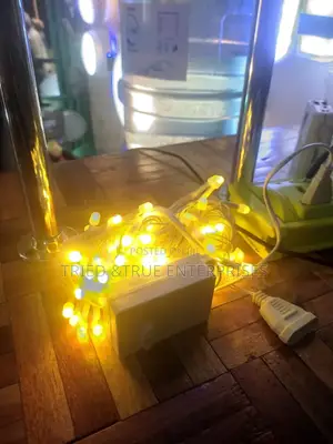 Elegant 10mtrs Christmas Lights Gold Hj6y