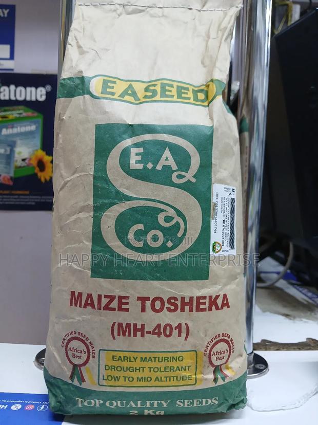Maize Tosheka (Mh-401) 2kg - thumbnail 3