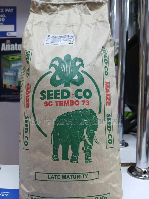 Sc Tembo 73 Maize 2kg - main view