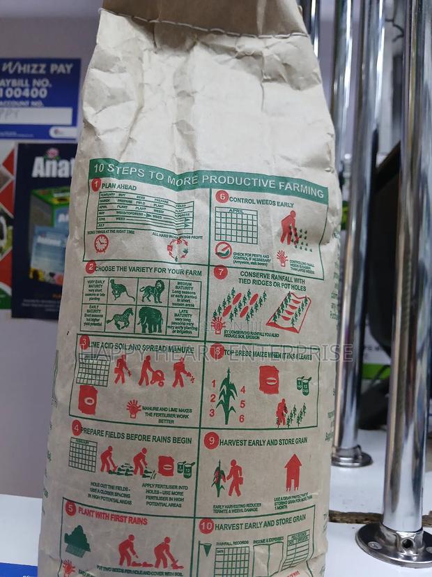 Sc Tembo 73 Maize 2kg - thumbnail 3