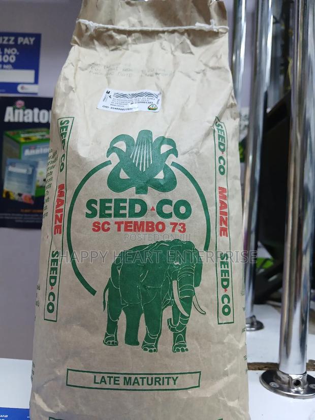 Sc Tembo 73 Maize 2kg - thumbnail 4
