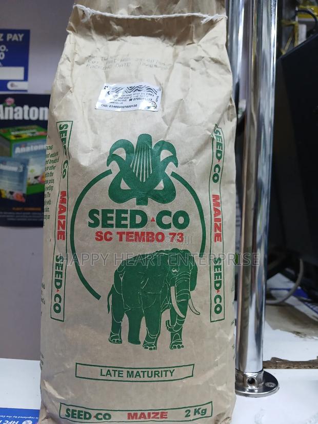Sc Tembo 73 Maize 2kg - thumbnail 5