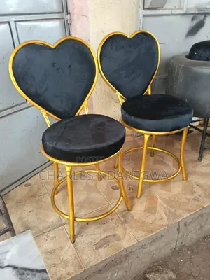 Salon Stylish Chair