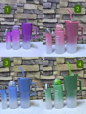 3 in 1 Stanley Bottles