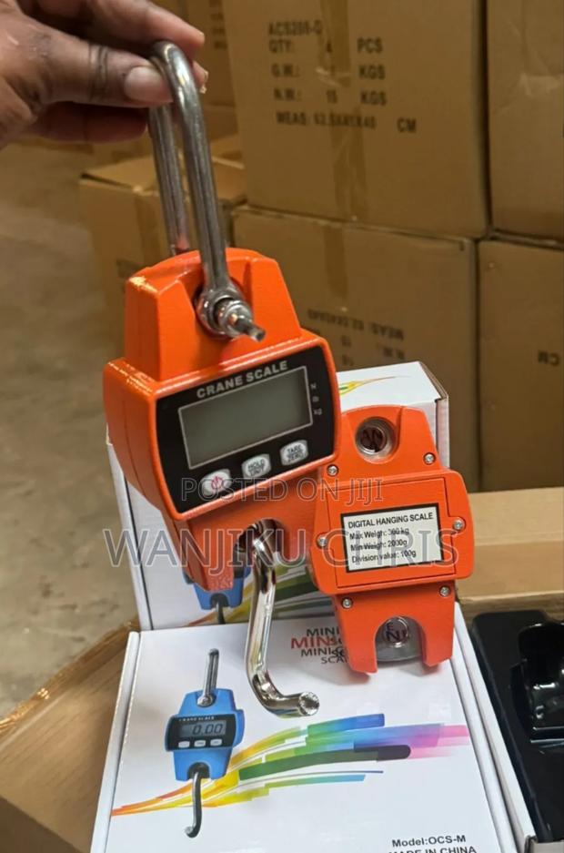 Mini Crane Weight 300kg Max/ 300kg Mini Weighing Scale