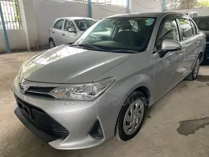 Toyota Axio 2018 Silver