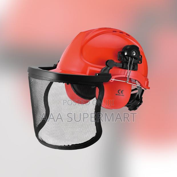 Forestry Combination Vented Helmet C/W Earmuff Wire Mesh Visor - main view