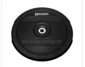 Active ( Powered ) 12 Inch Spear Wheel Subwoofer