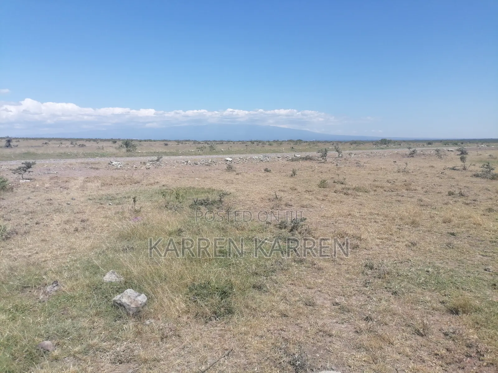 Prime Nanyuki Plots Opposite Ol Pejeta | Discounts Available