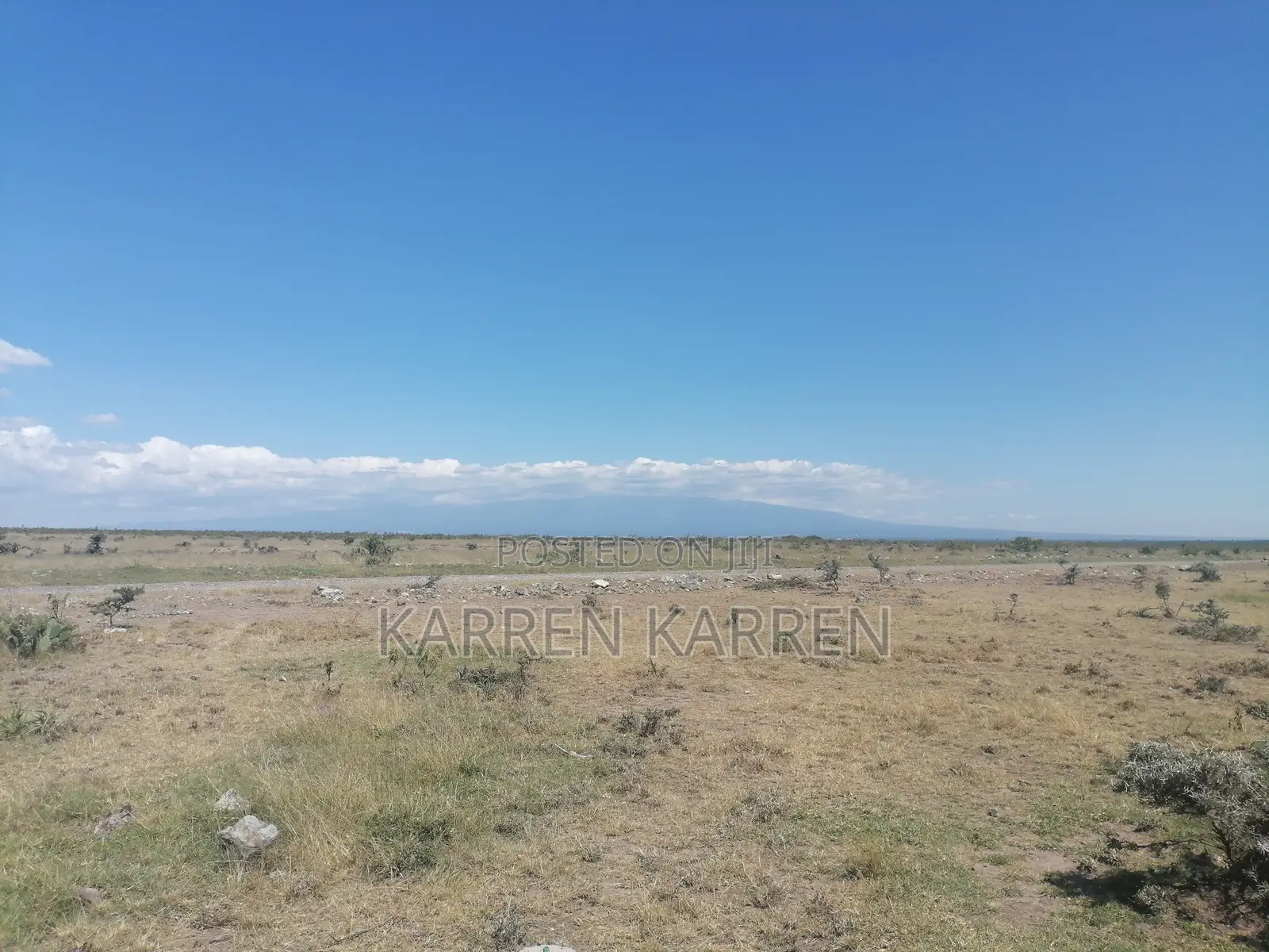 Prime Nanyuki Plots Opposite Ol Pejeta | Discounts Available