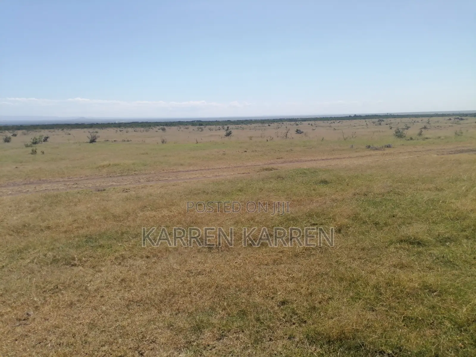 Prime Nanyuki Plots Opposite Ol Pejeta | Discounts Available