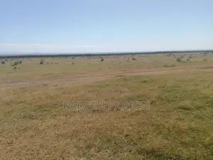 Prime Nanyuki Plots Opposite Ol Pejeta | Discounts Available