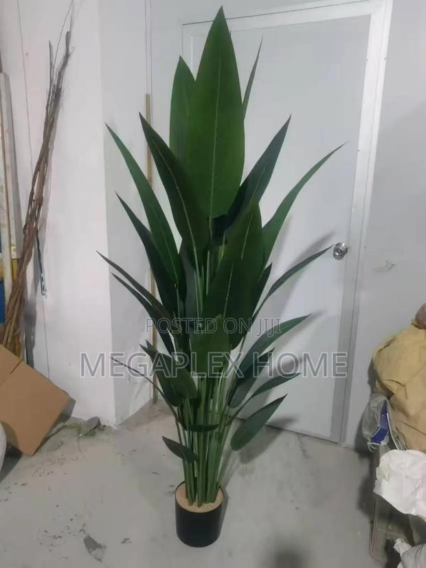 Real Touch Strelitzia Plant - thumbnail 2