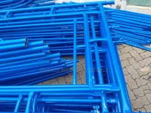 Heavy Duty Construction Scaffolding Ladder