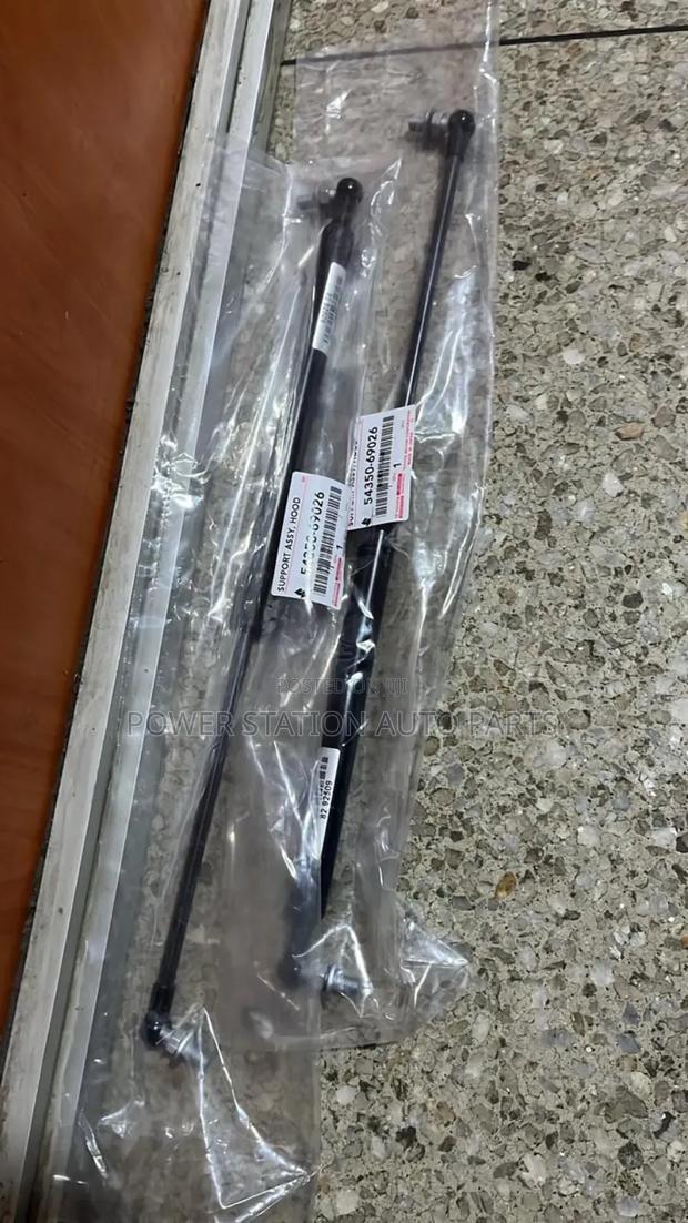 Bonnet Shocks Landcruiser 100 Series