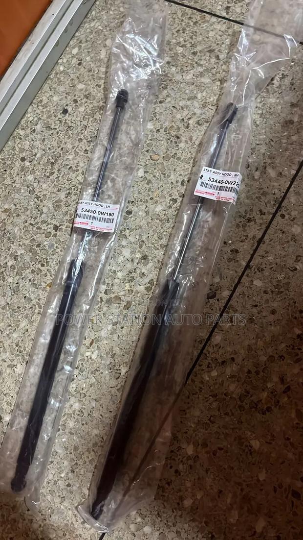 Bonnet Shocks Landcruiser - main view