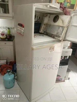 Fridge Compressor Replacement and General Service