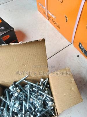 Roofing Screws/Tapping Screw