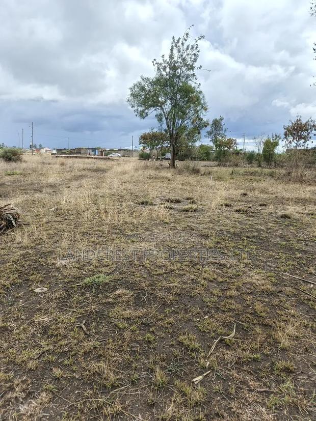 40*60 Plot for Sale in Ruiru (Ndururumo)