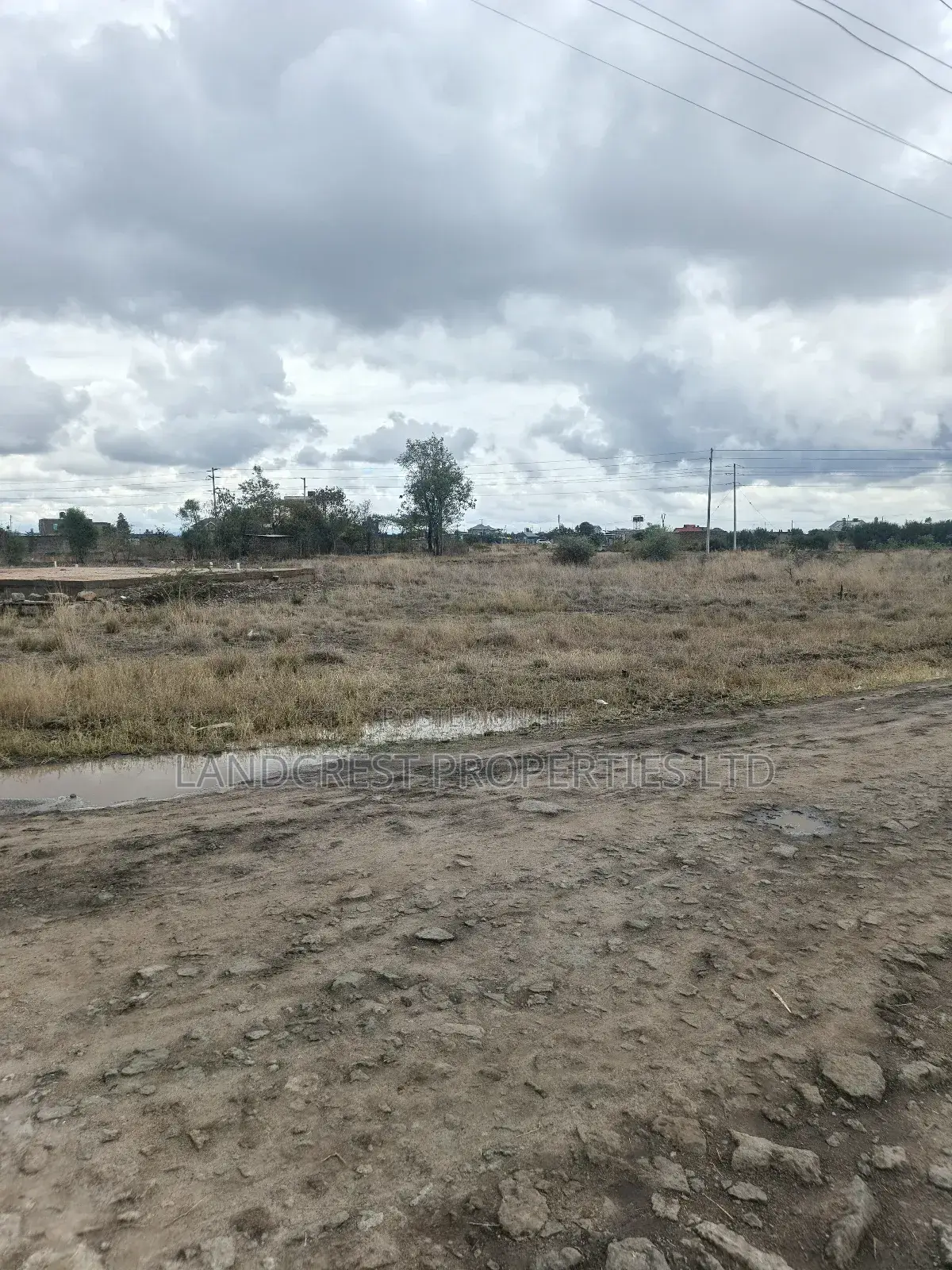 40*60 Plot for Sale in Ruiru, Murera (Ndururumo)