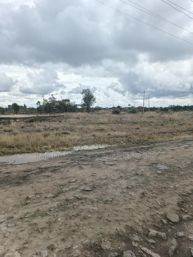 40*60 Plot for Sale in Ruiru (Ndururumo) - thumbnail 5