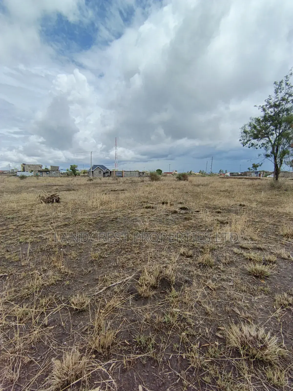 40*60 Plot for Sale in Ruiru, Murera (Ndururumo)
