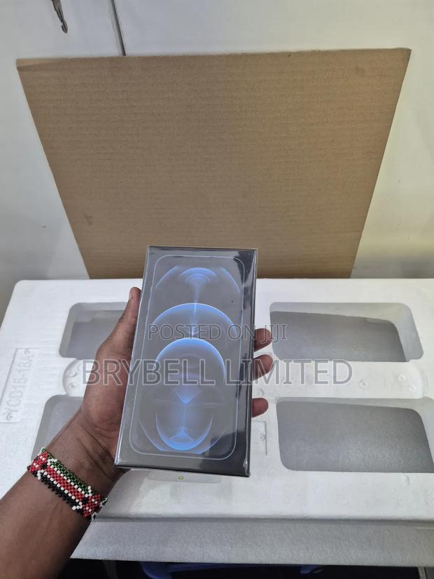 New Apple iPhone 12 Pro Max 256 GB Blue - thumbnail 4