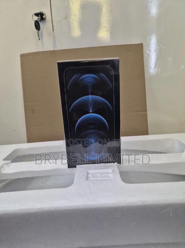 New Apple iPhone 12 Pro Max 256 GB Blue - thumbnail 3