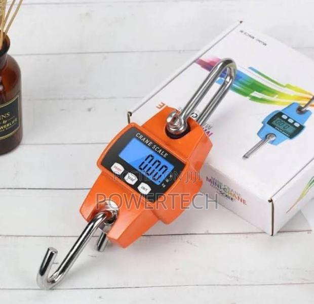 300kgs Mini Crane Scale - main view