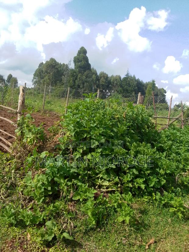 3( 50 by 100) Adjacent Kamandura - thumbnail 2