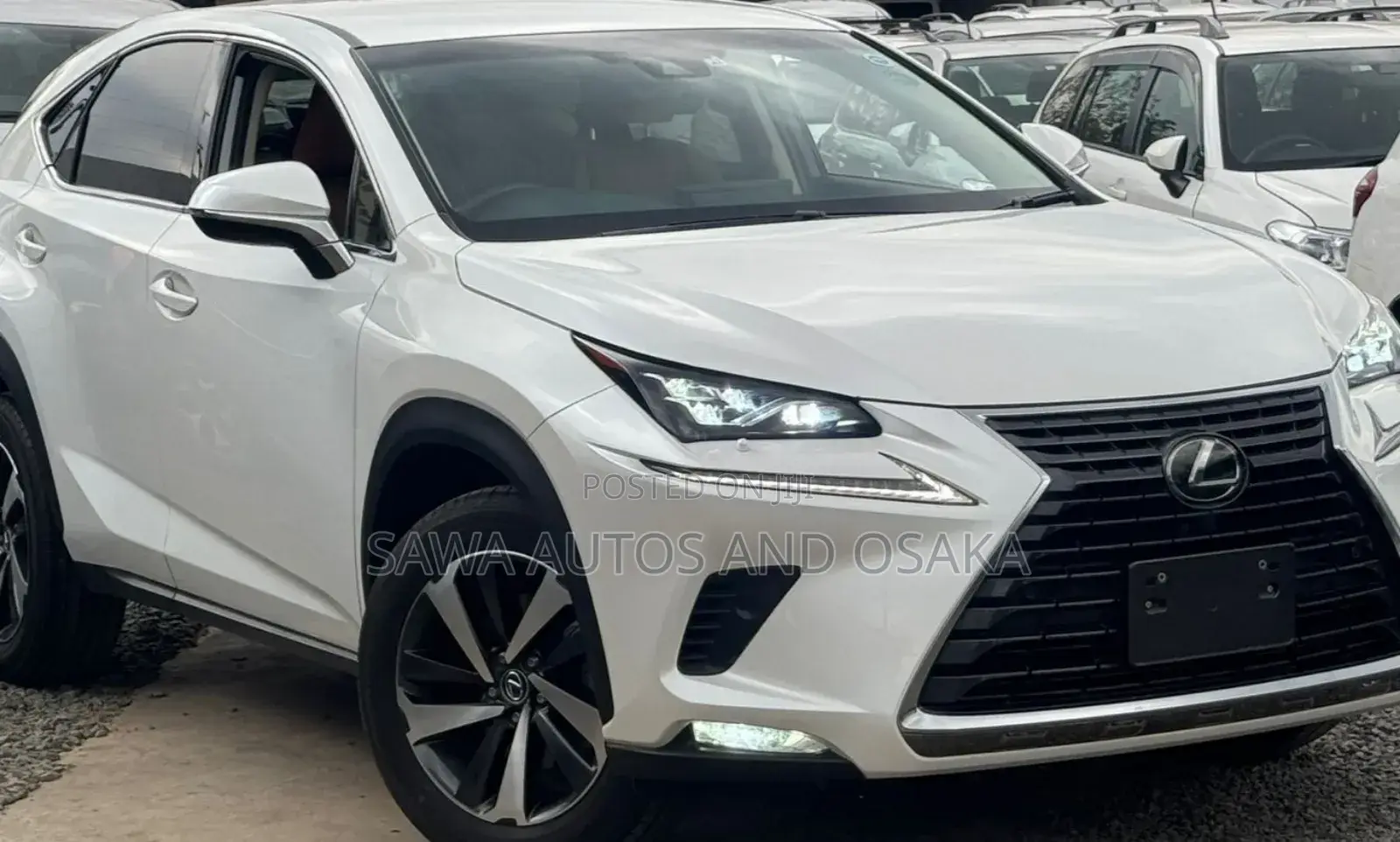 Lexus NX 2017 White