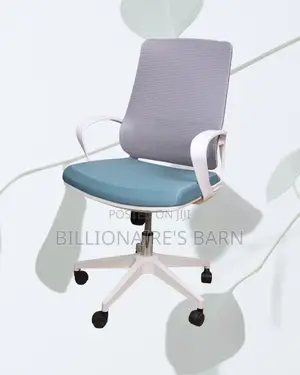 Durable Support Mesh Ergonomic Lumbar | Top Seller in Kenya