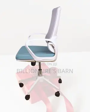 Pro Office Mesh Executive Mesh | Comfort Meets Style