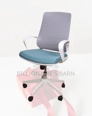 Pro Office Mesh Executive Mesh | Comfort Meets Style