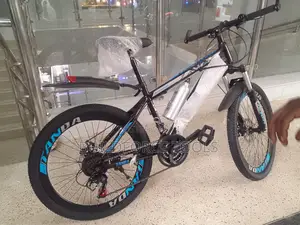 Tanda Size 24 Beat Quality Bicycle