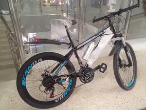 Tanda Size 24 Beat Quality Bicycle