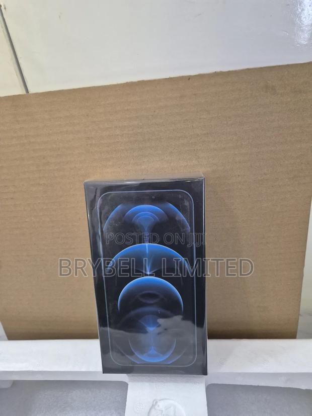 New Apple iPhone 12 Pro Max 256 GB Gold - thumbnail 4