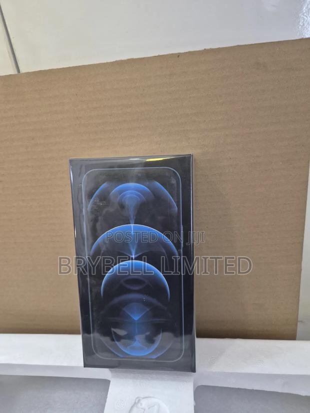 New Apple iPhone 12 Pro Max 256 GB Gold - main view