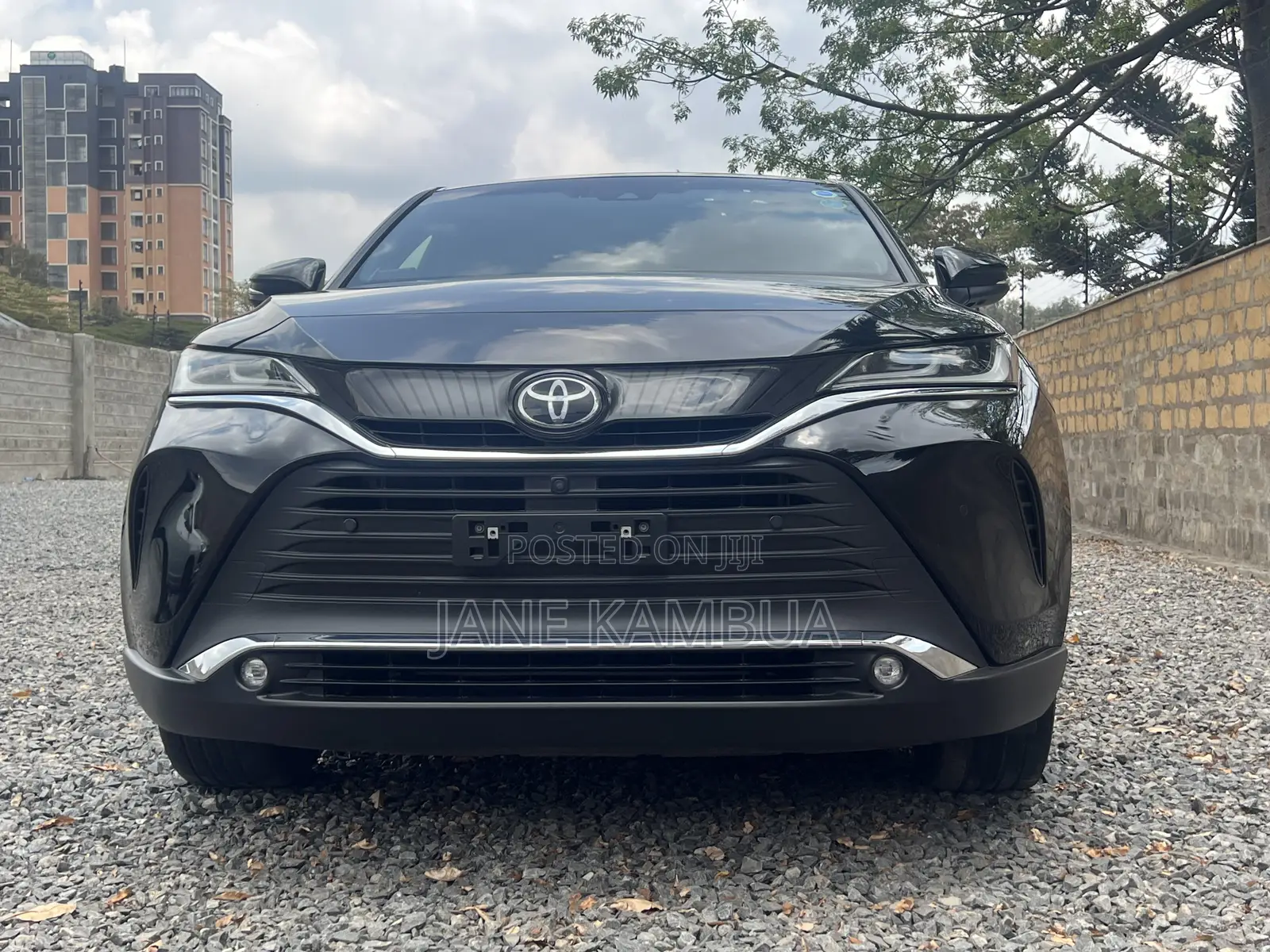Toyota Harrier 2.0 2020 Black