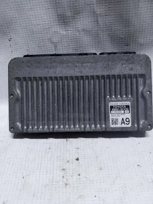 Toyota Probox Engine Control Unit