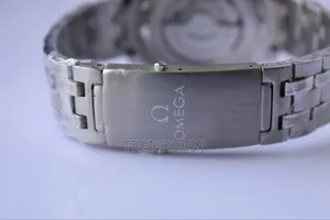 Omega Seamster Stainless Steel