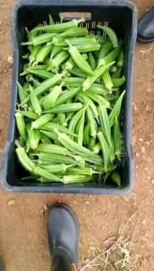 Okra Per 1kg