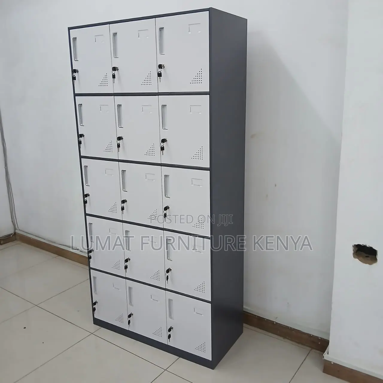 Office Gym Locker Unit