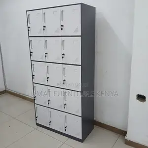 Office Gym Locker Unit