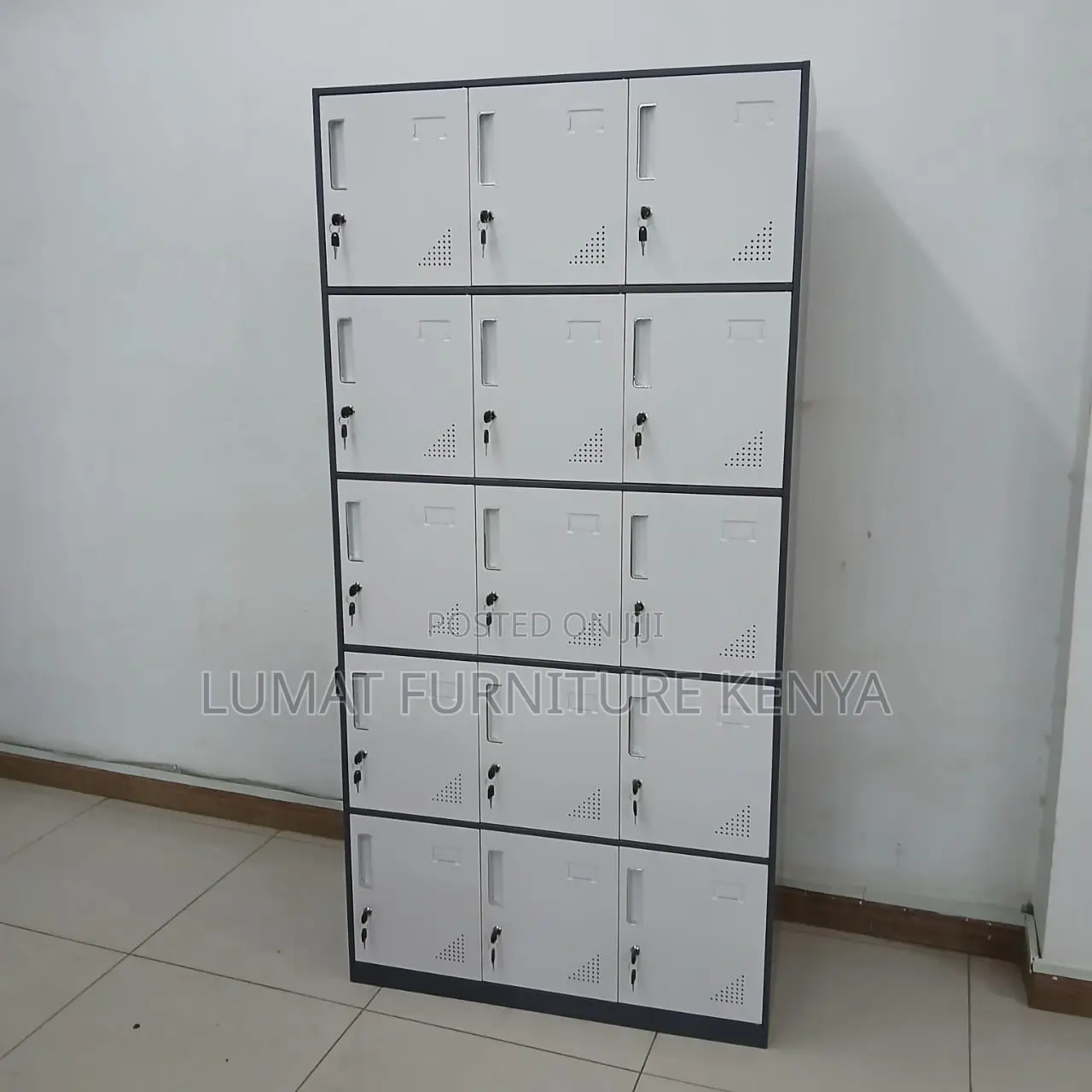 Office Gym Locker Unit